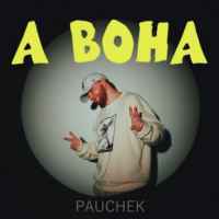 Pauchek - А вона