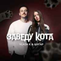 VLADA K & Шугар - Заведу кота
