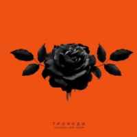 Kavabanga Depo Kolibri - Троянди